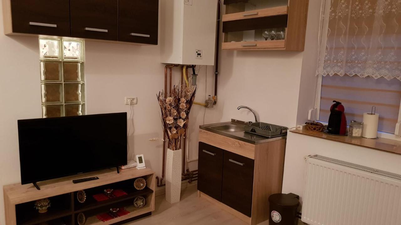 Casa Clau Apartment Arad Exterior photo